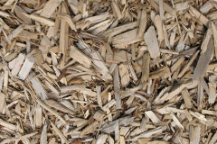 biomass boilers Daltote