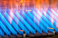 Daltote gas fired boilers